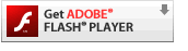 Flash Player from Adobe.com